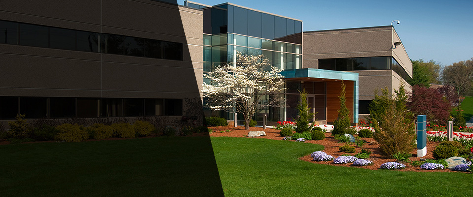 Southlake Landscapers