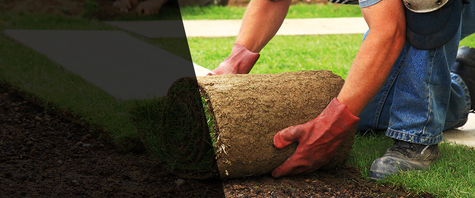 Southlake Landscapers